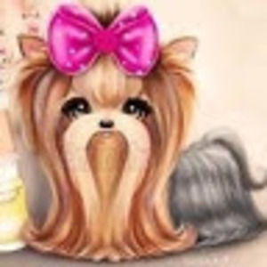 Meet your Posher, Miry